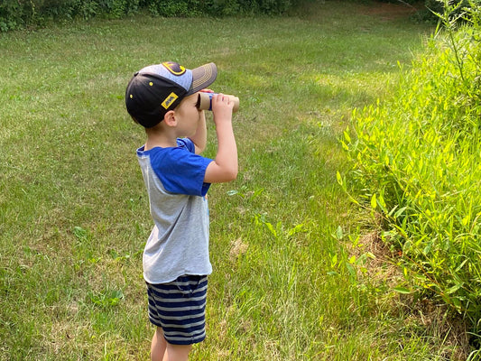 Technology in Nature