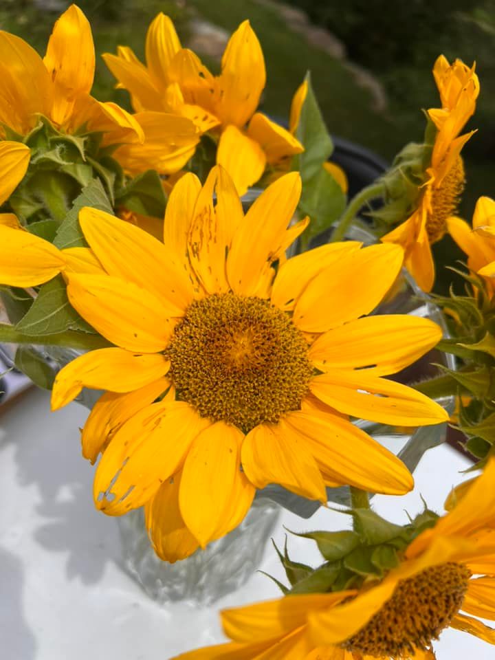 Fall 2022 - Back to School Tips