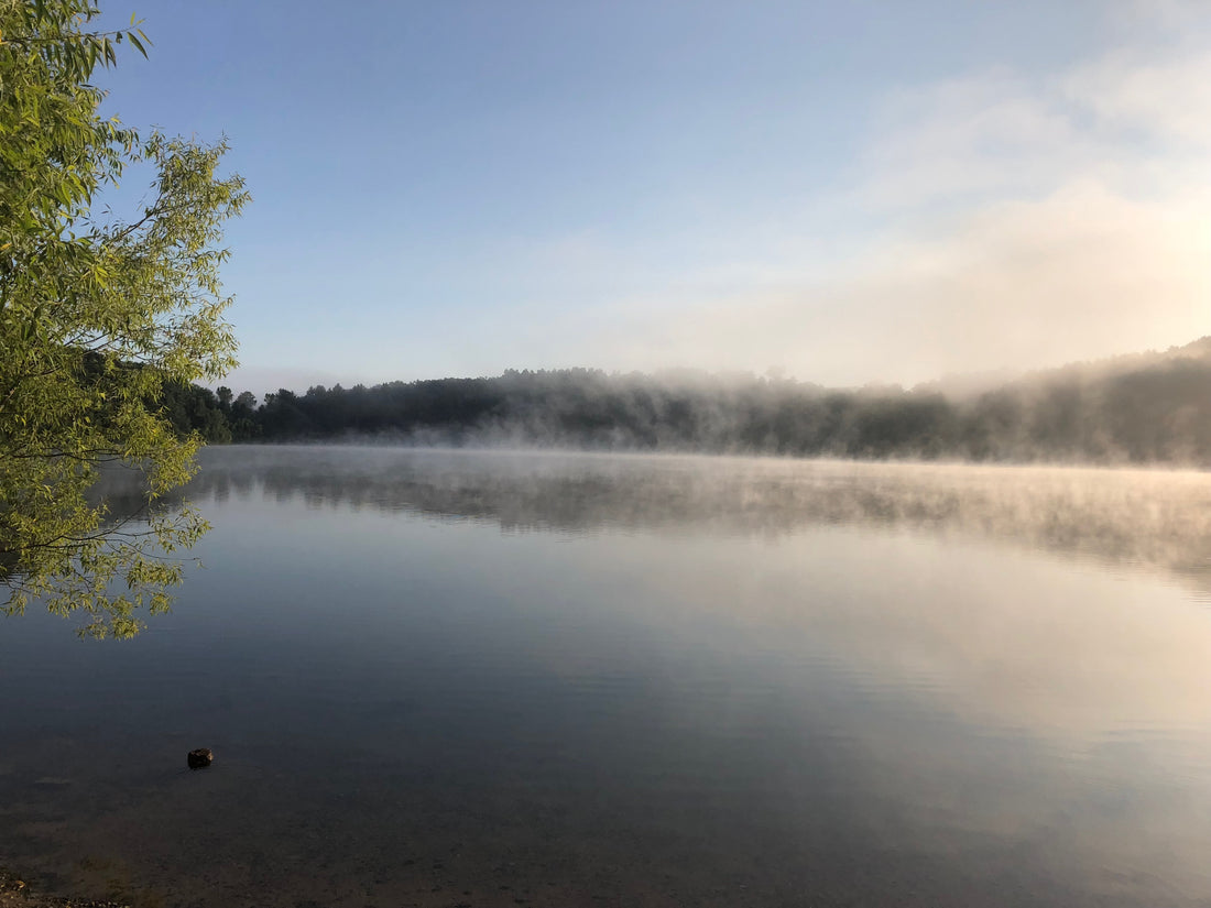 Fall 2020 Offerings!