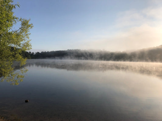 Fall 2020 Offerings!