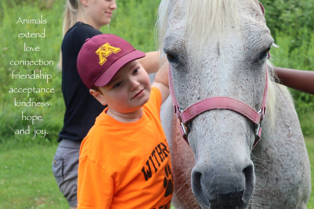 Drumming Camp added!  Summer skin products!