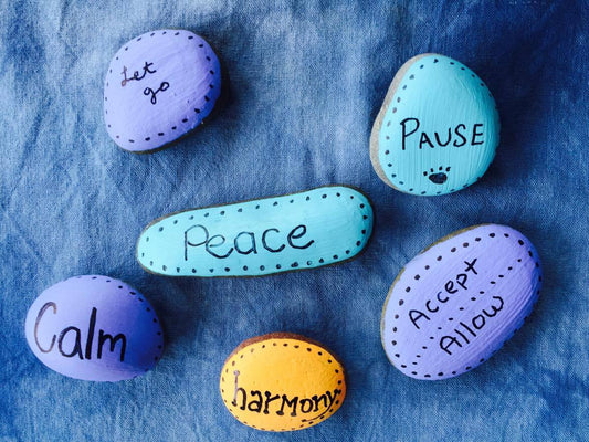 Resiliency Parent Camp