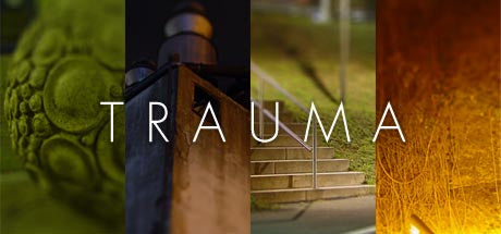 Trauma Presentation Event Coming Up!