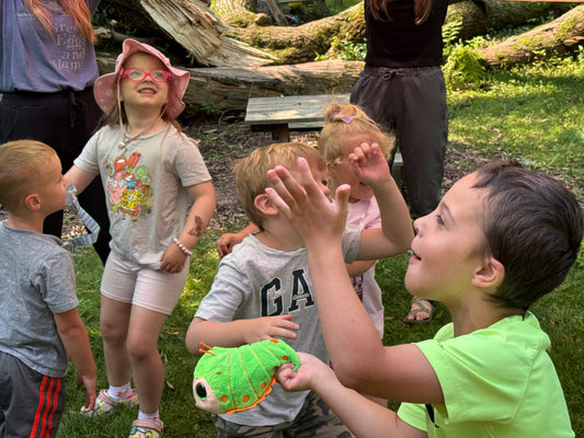 Brain Boost Nature Play - Summer