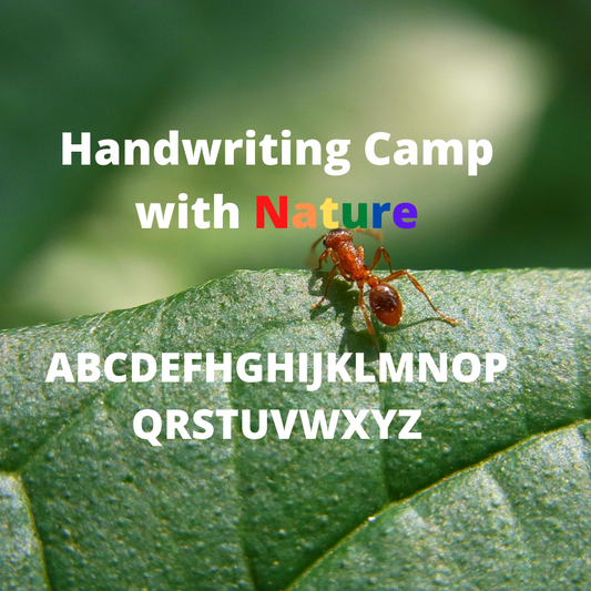 Handwriting Enrichment